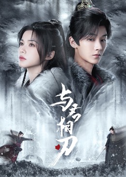 日韩无码高清不卡